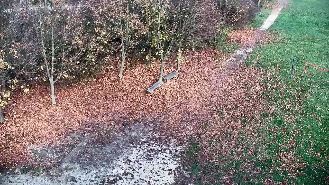 Spletna kamera Ribnik Vrbje – Žalec