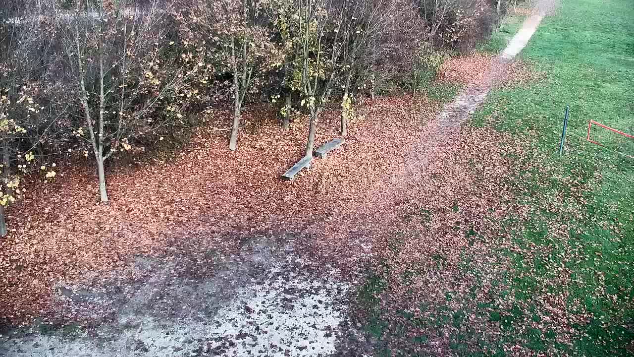 Webcam Ribnik Vrbje – Žalec