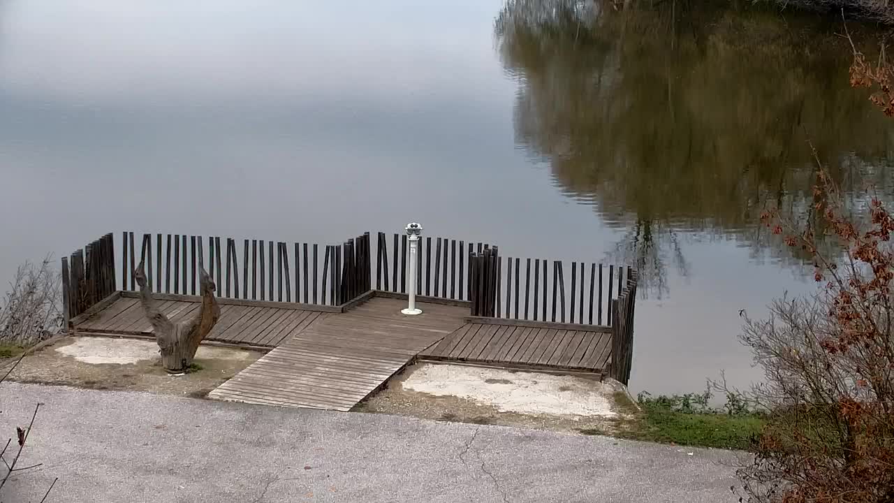 Webcam Ribnik Vrbje – Žalec