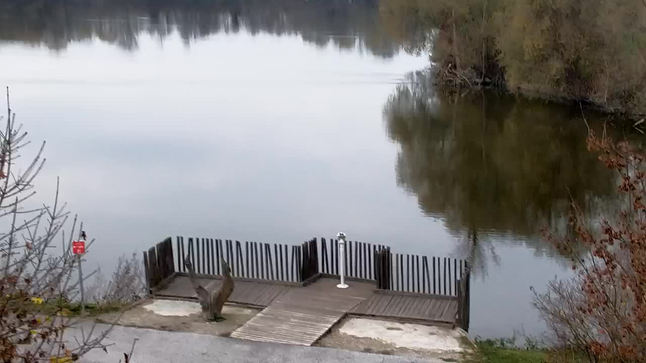 Spletna kamera Ribnik Vrbje – Žalec