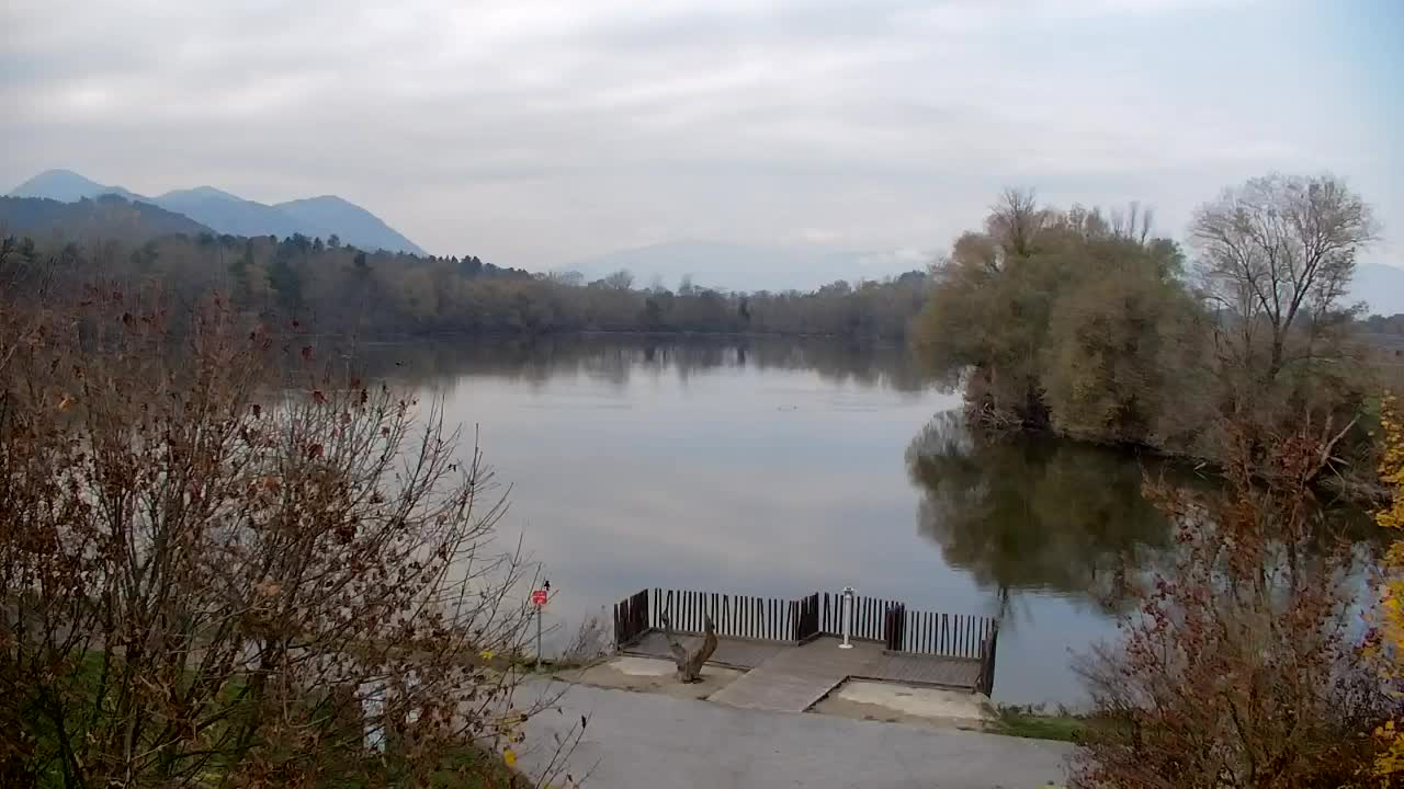 Webcam Ribnik Vrbje – Žalec