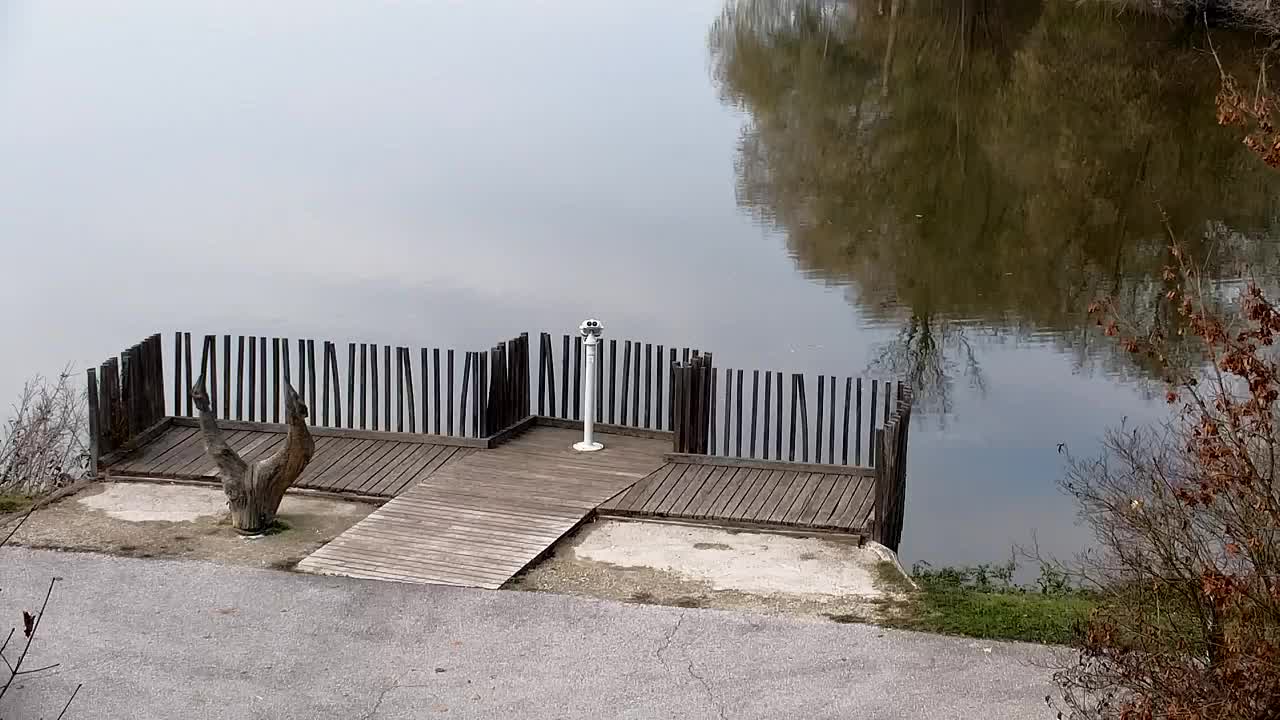 Spletna kamera Ribnik Vrbje – Žalec