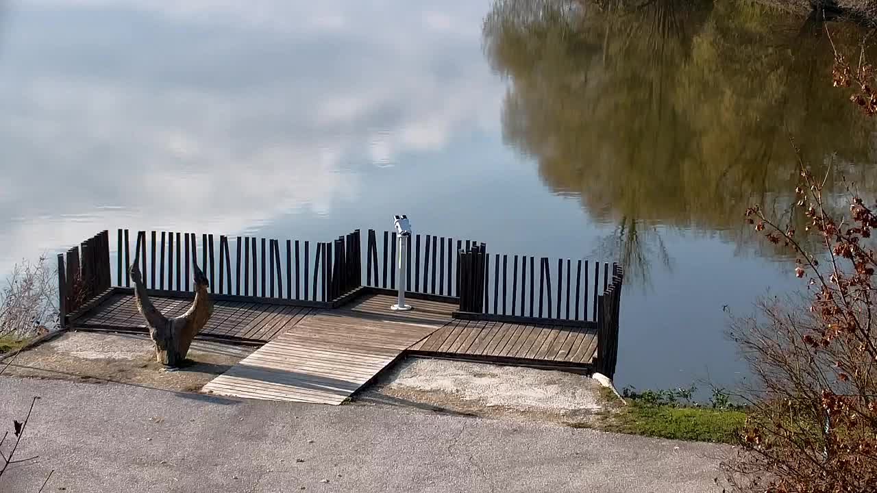 Webcam Ribnik Vrbje – Žalec