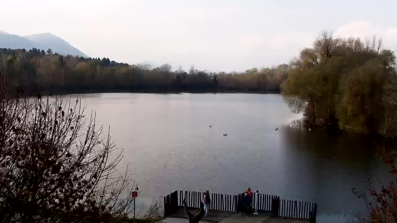 Spletna kamera Ribnik Vrbje – Žalec