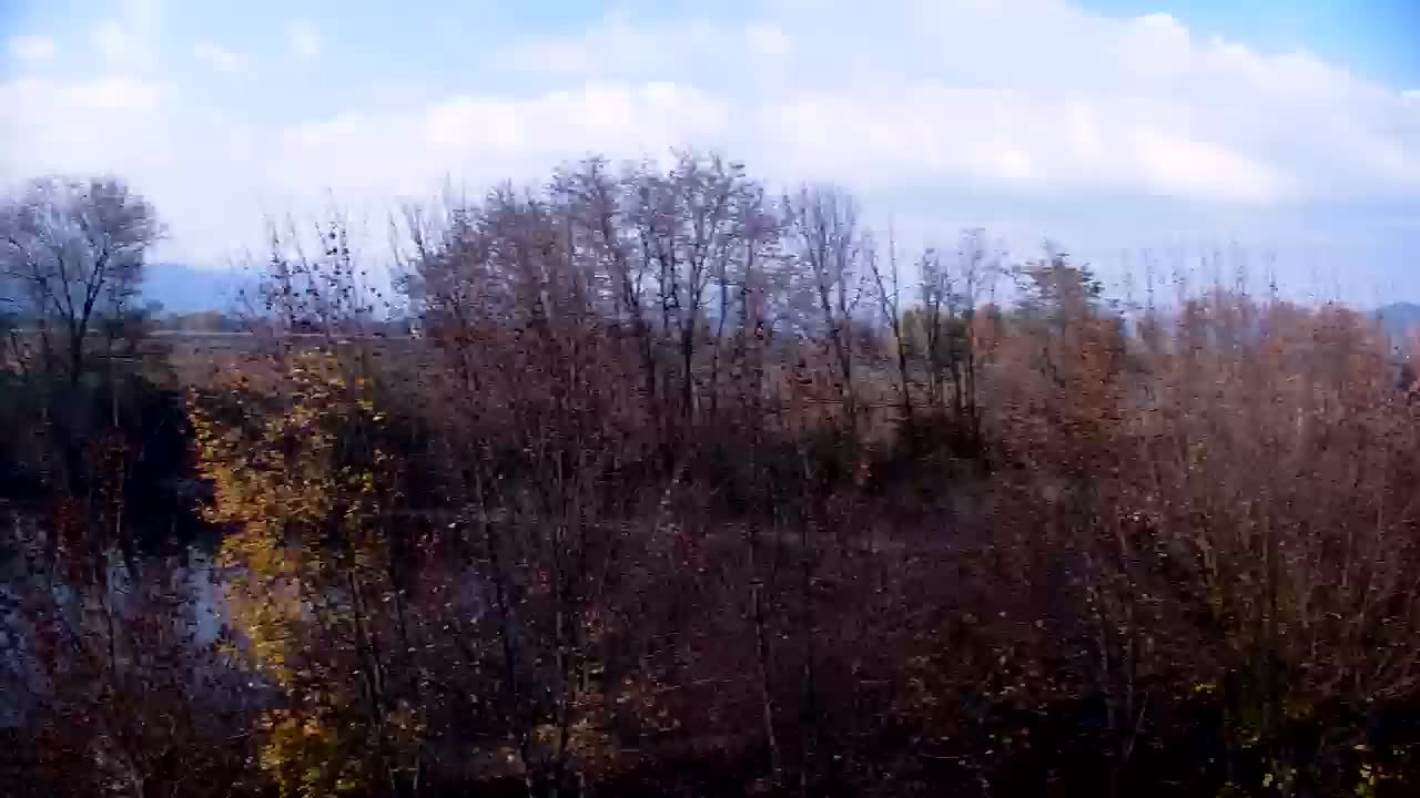 Webcam Ribnik Vrbje – Žalec