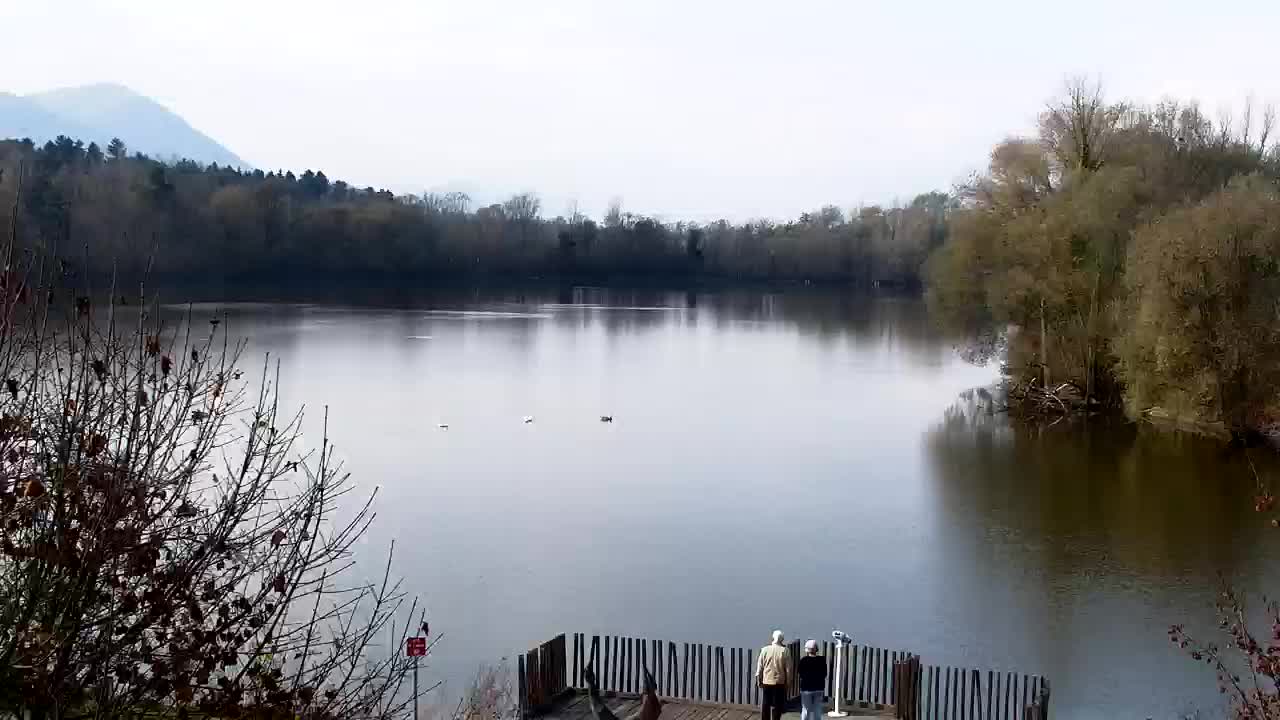 Spletna kamera Ribnik Vrbje – Žalec