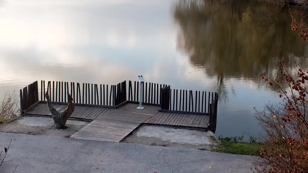 Webcam Ribnik Vrbje – Žalec