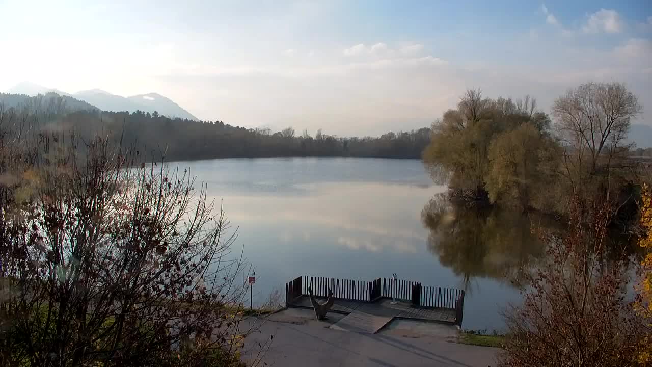 Spletna kamera Ribnik Vrbje – Žalec