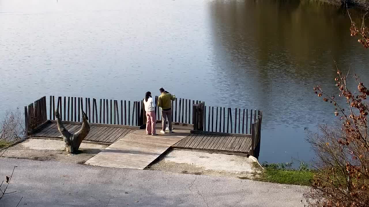 Webcam Ribnik Vrbje – Žalec