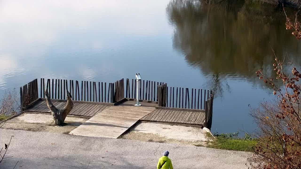 Web kamera Ribnik Vrbje – Žalec