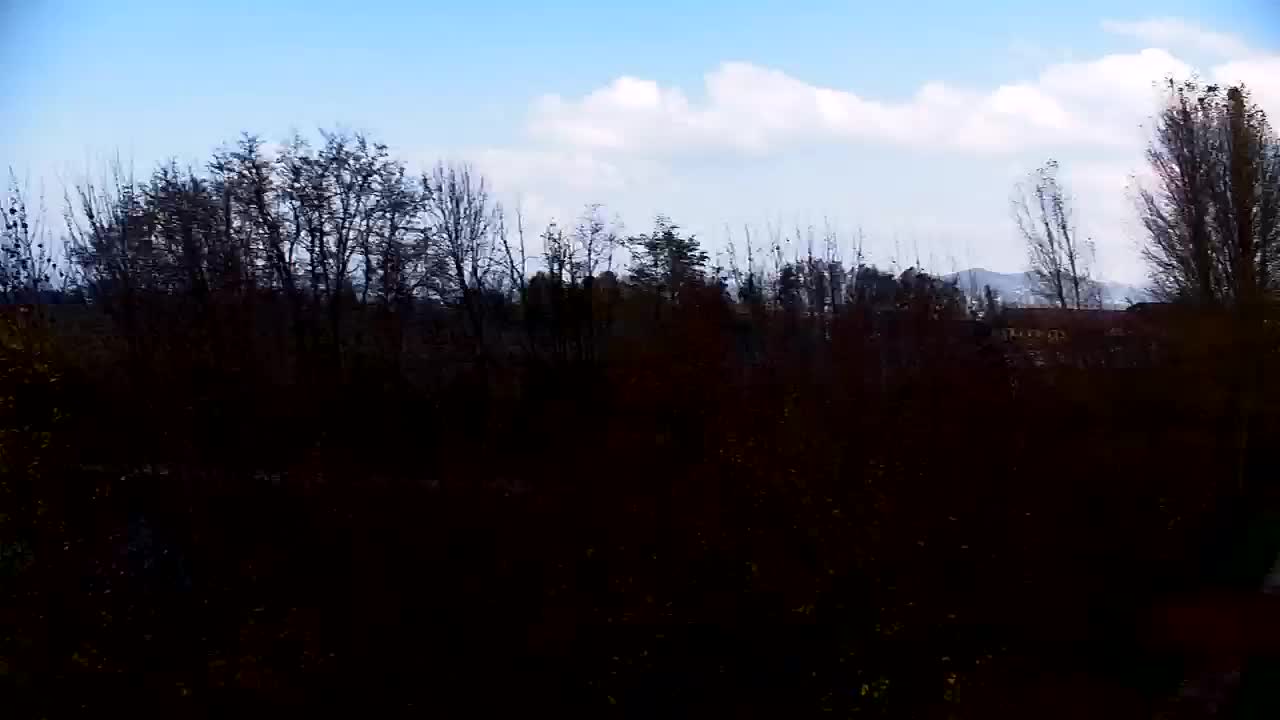 Web kamera Ribnik Vrbje – Žalec