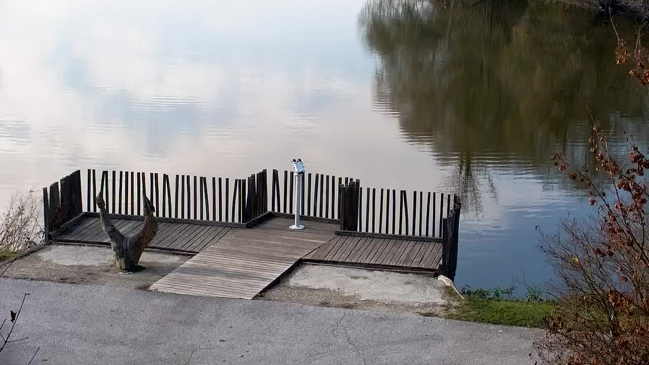 Webcam Ribnik Vrbje – Žalec