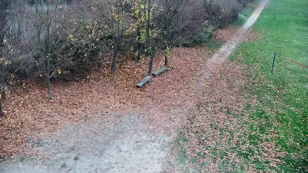 Web kamera Ribnik Vrbje – Žalec