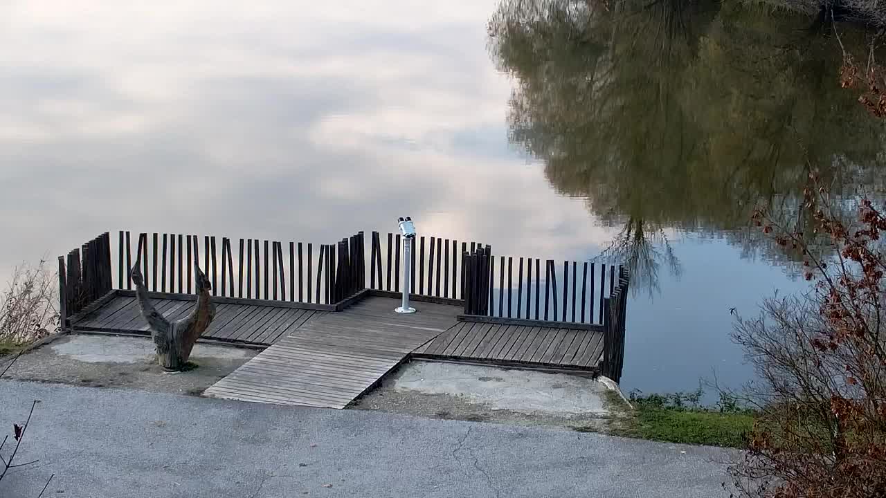 Spletna kamera Ribnik Vrbje – Žalec