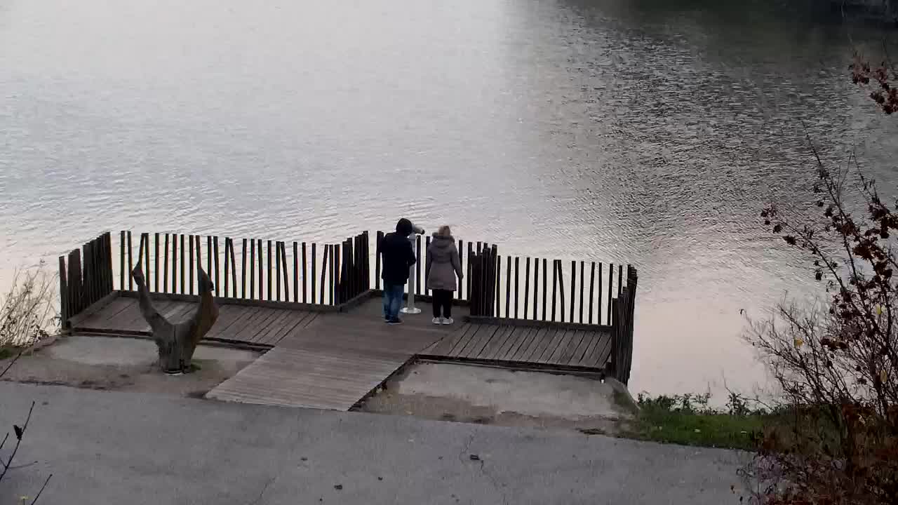 Webcam Ribnik Vrbje – Žalec