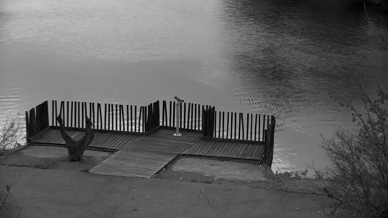 Webcam Ribnik Vrbje – Žalec