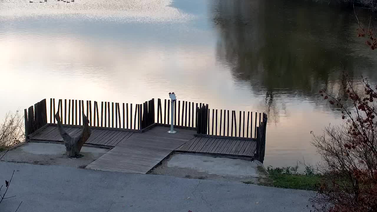 Webcam Ribnik Vrbje – Žalec