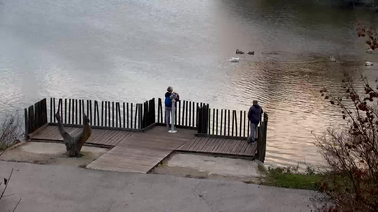 Spletna kamera Ribnik Vrbje – Žalec