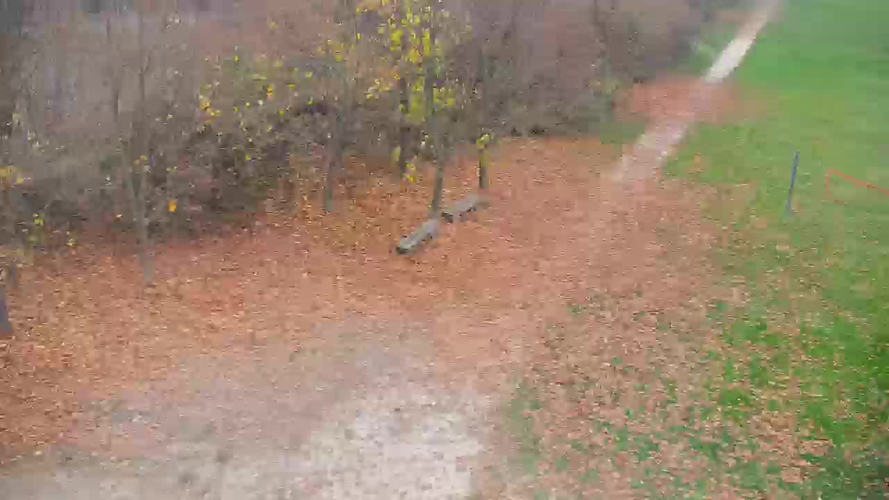 Spletna kamera Ribnik Vrbje – Žalec