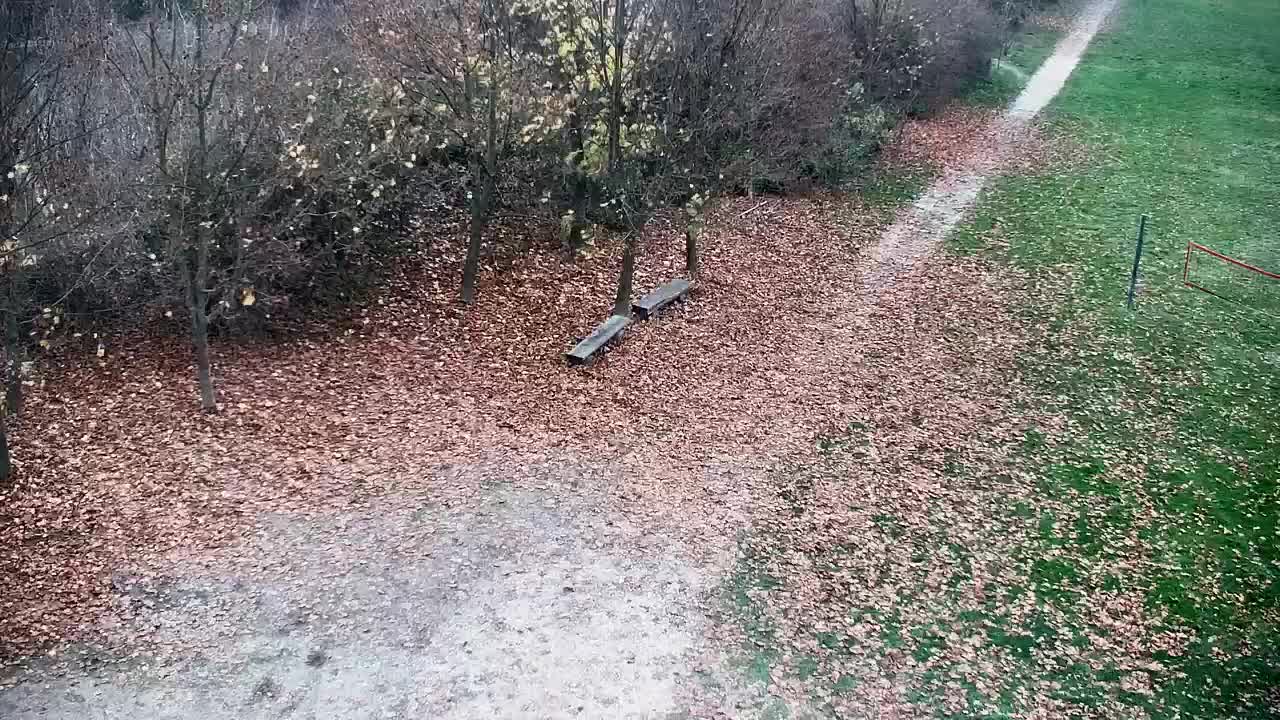 Webcam Ribnik Vrbje – Žalec