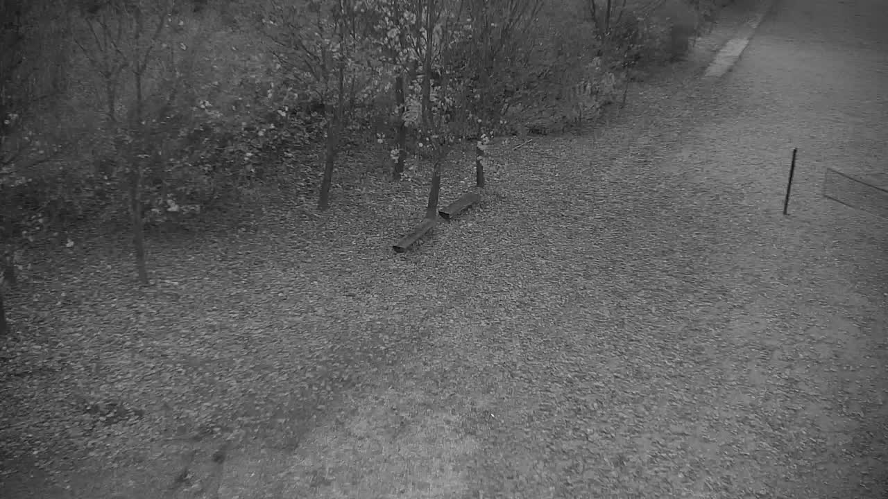 Webcam Ribnik Vrbje – Žalec