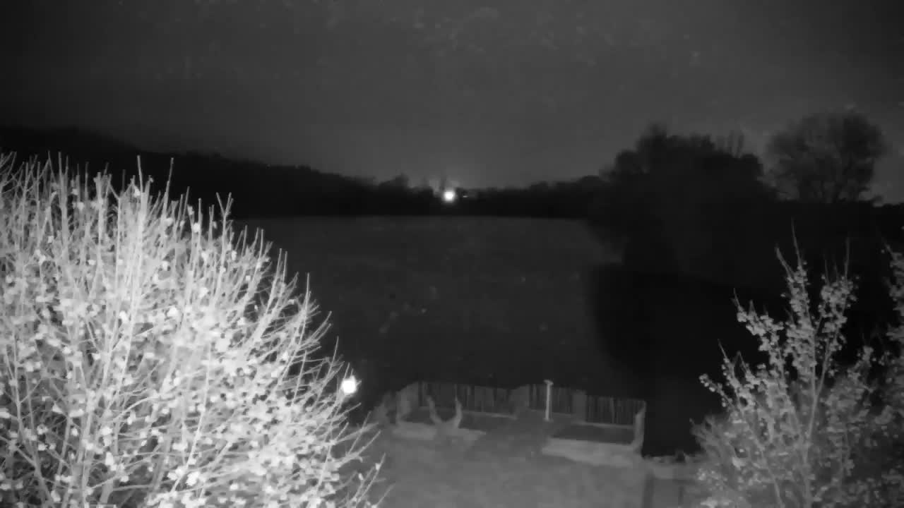 Webcam Ribnik Vrbje – Žalec