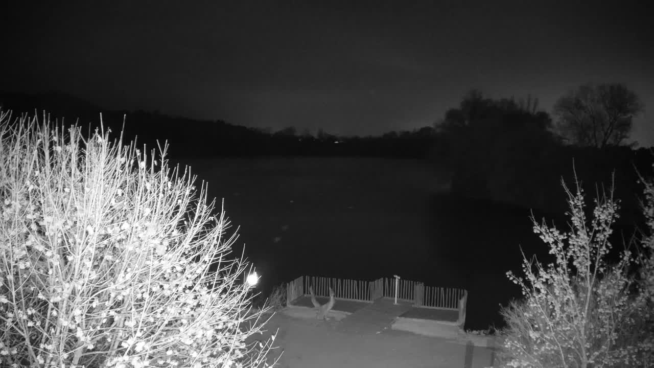 Webcam Ribnik Vrbje – Žalec