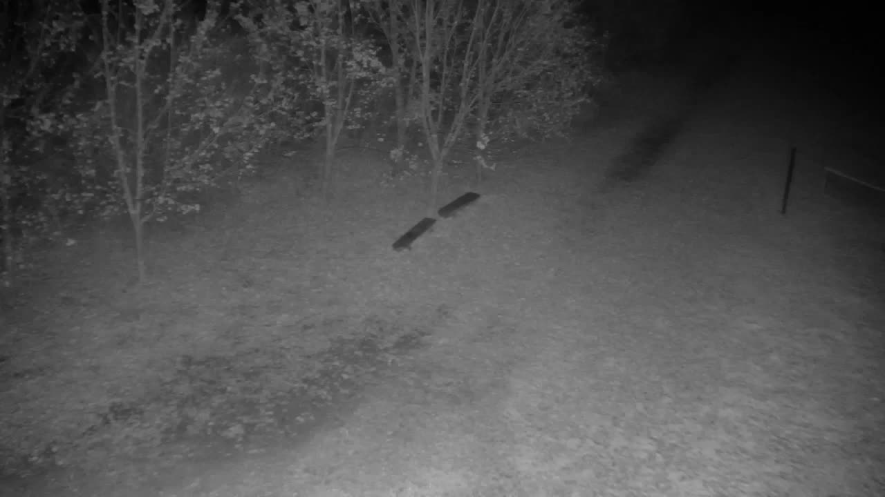 Webcam Ribnik Vrbje – Žalec