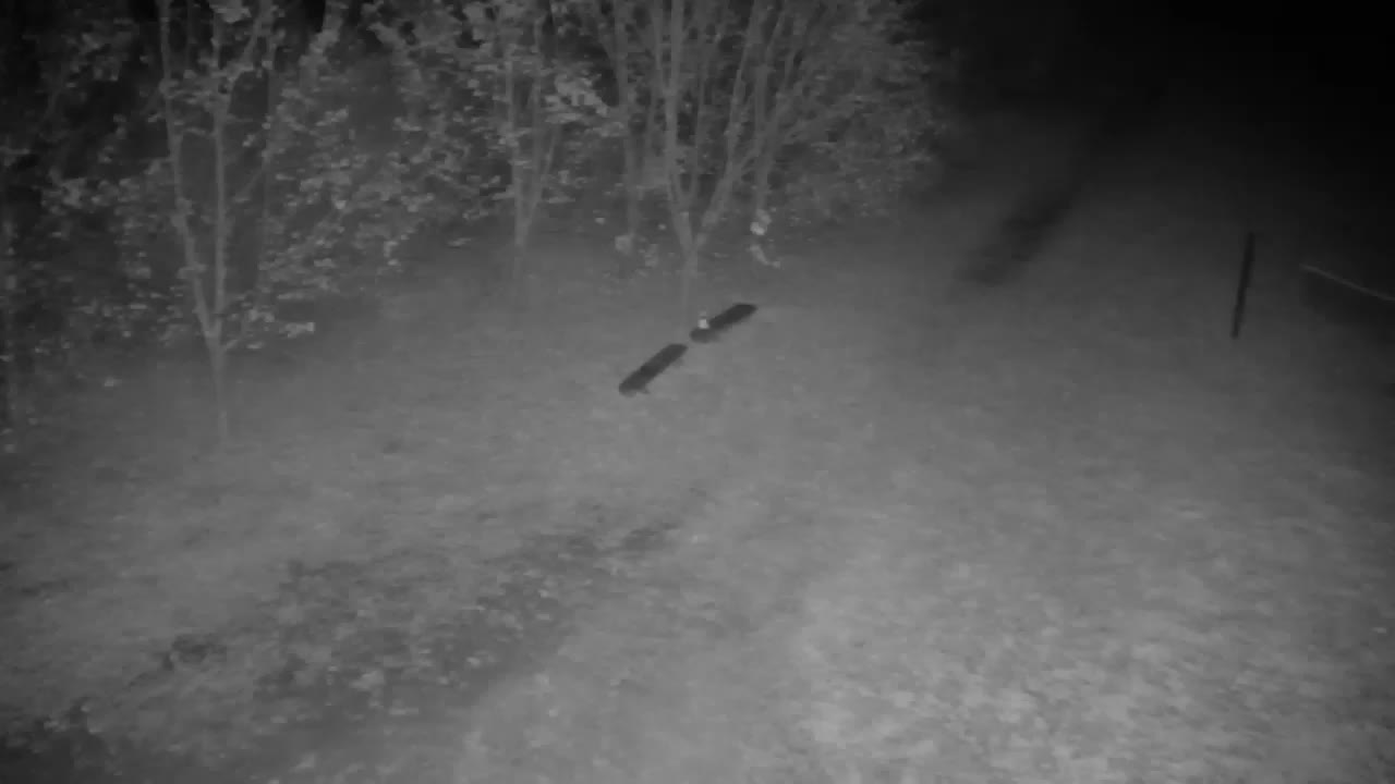 Spletna kamera Ribnik Vrbje – Žalec