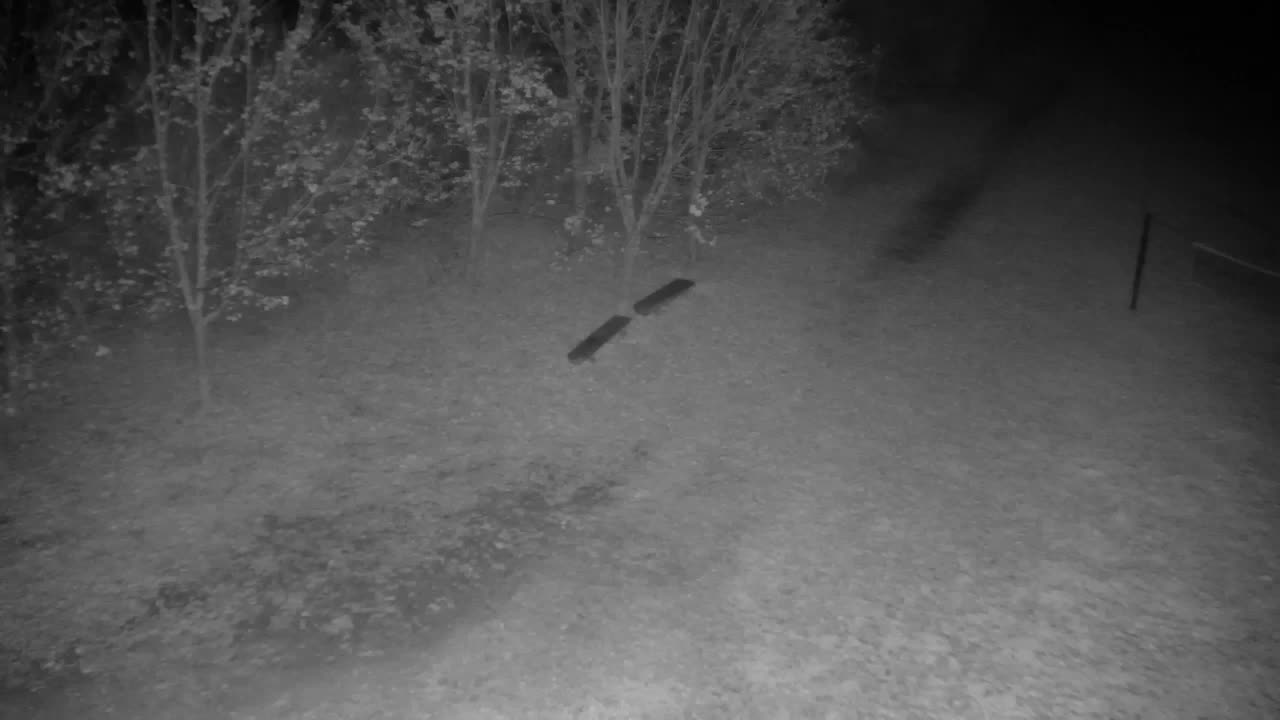 Webcam Ribnik Vrbje – Žalec