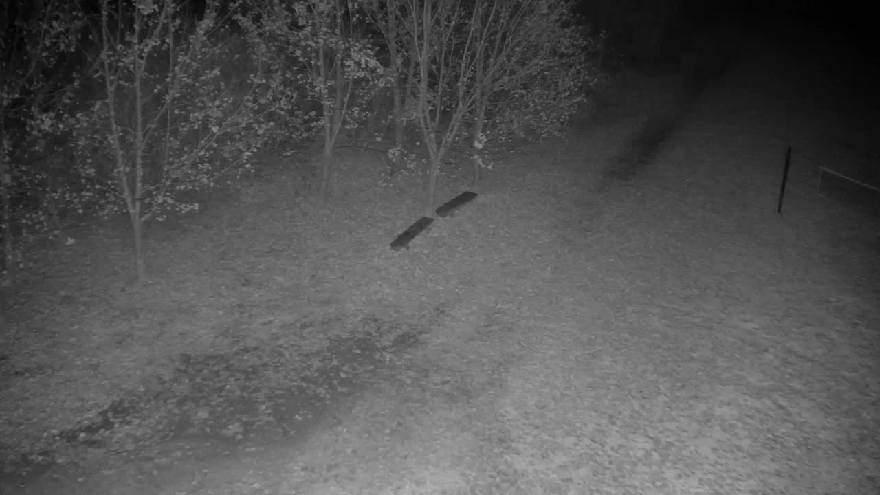 Webcam Ribnik Vrbje – Žalec