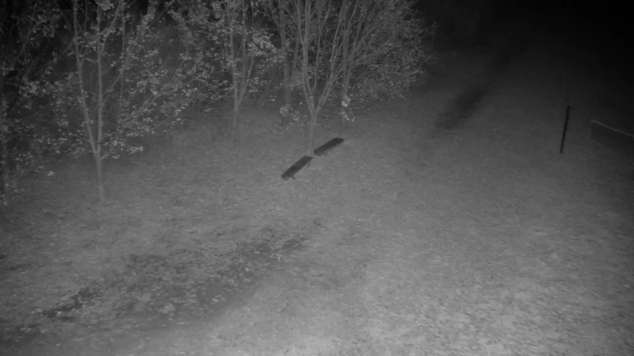 Webcam Ribnik Vrbje – Žalec