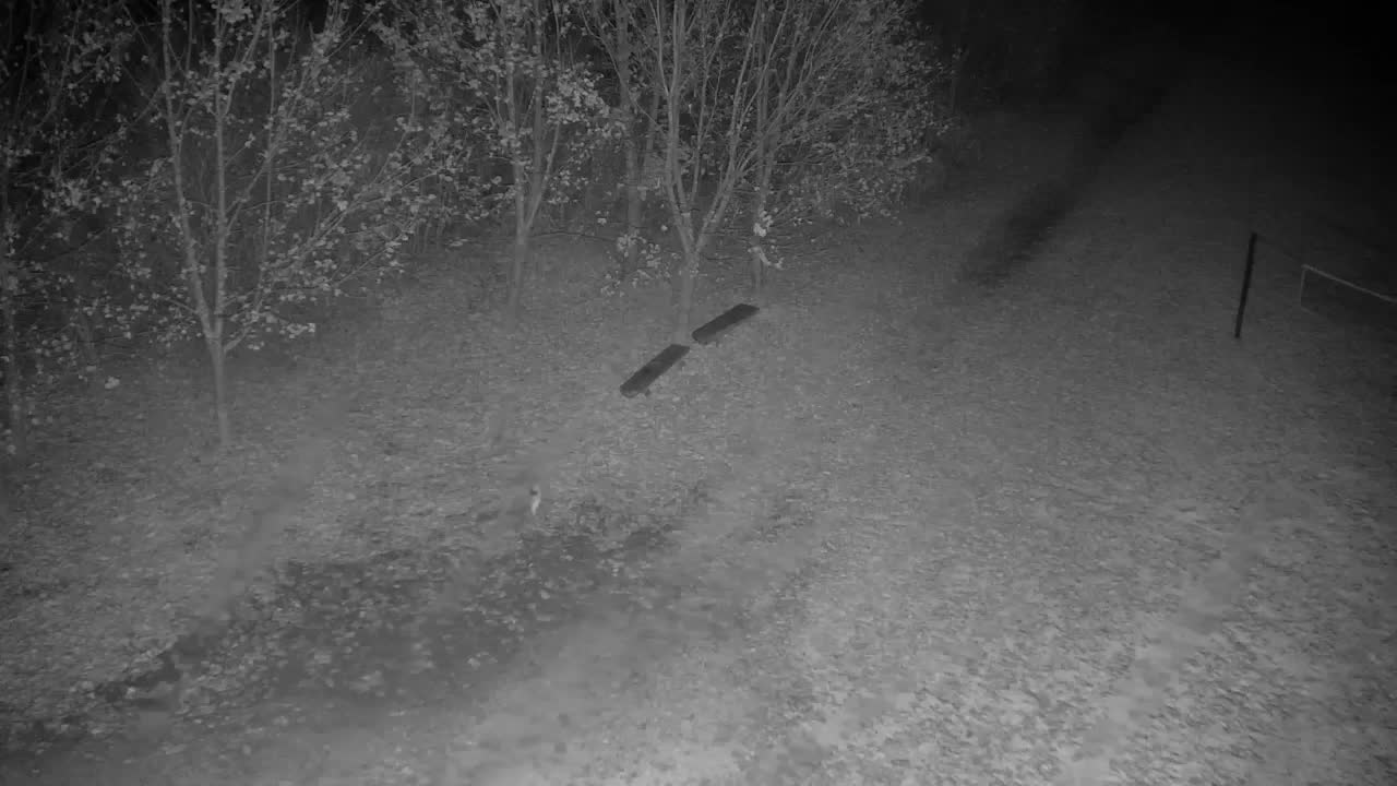 Webcam Ribnik Vrbje – Žalec