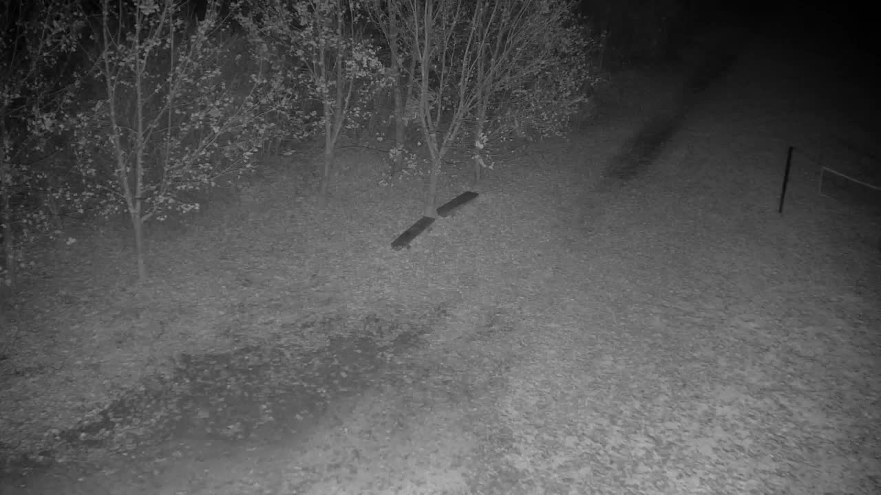 Webcam Ribnik Vrbje – Žalec