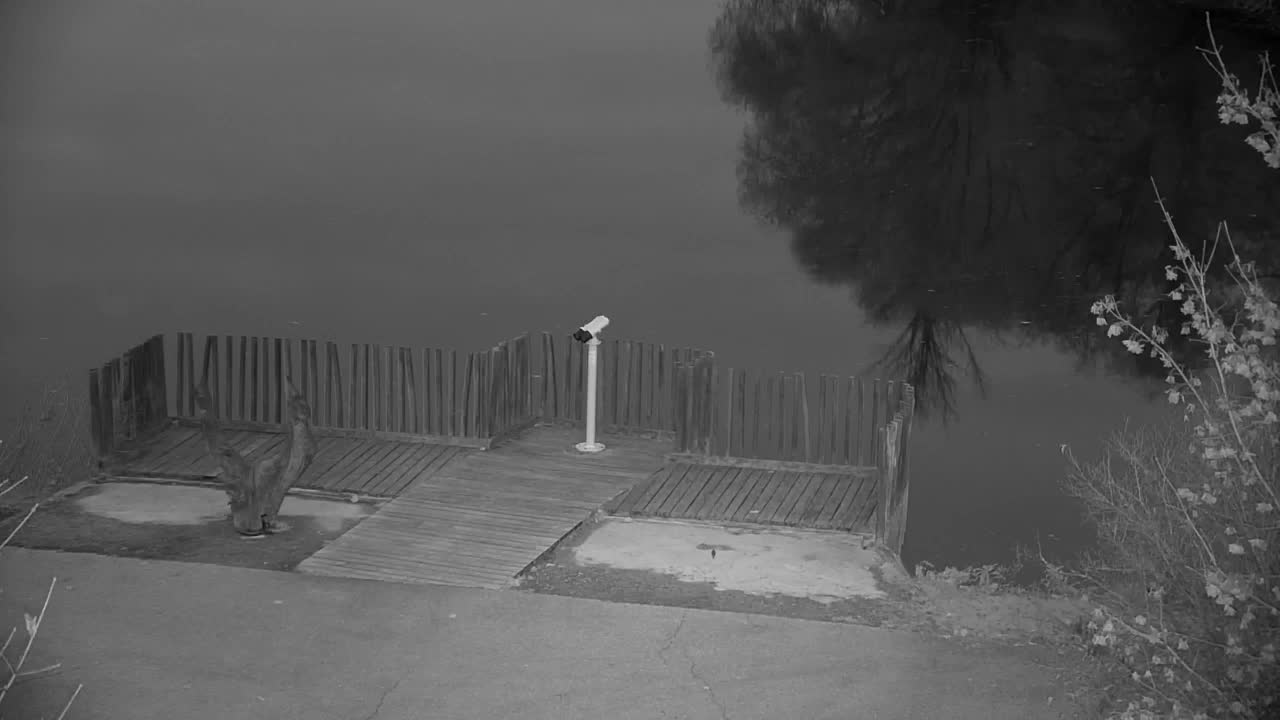 Webcam Ribnik Vrbje – Žalec