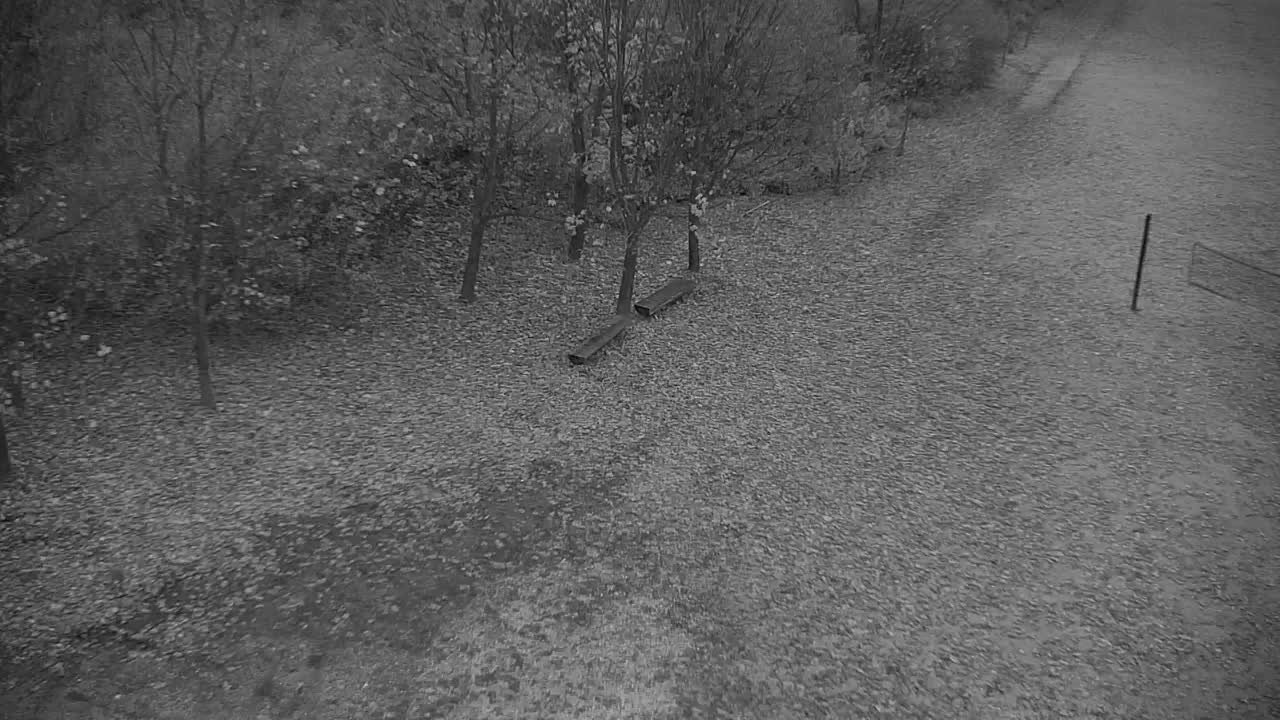 Web kamera Ribnik Vrbje – Žalec