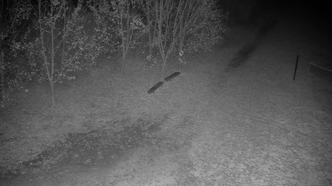 Webcam Ribnik Vrbje – Žalec