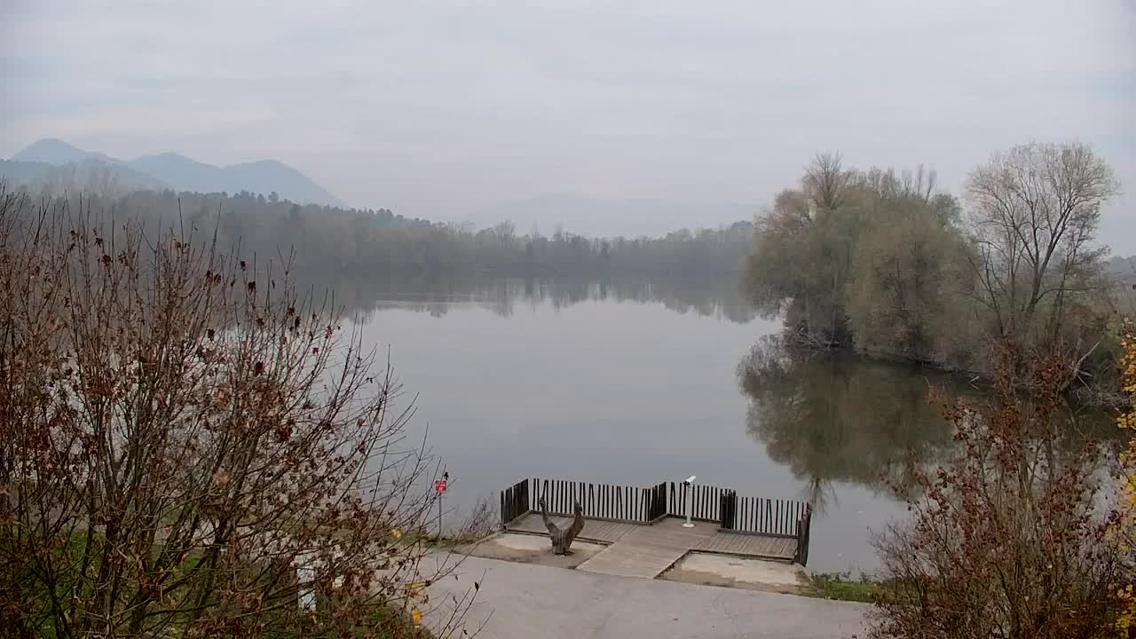 Spletna kamera Ribnik Vrbje – Žalec