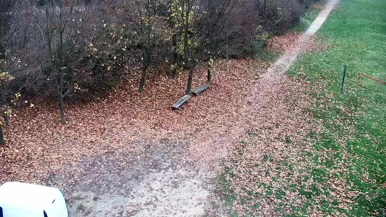 Webcam Ribnik Vrbje – Žalec