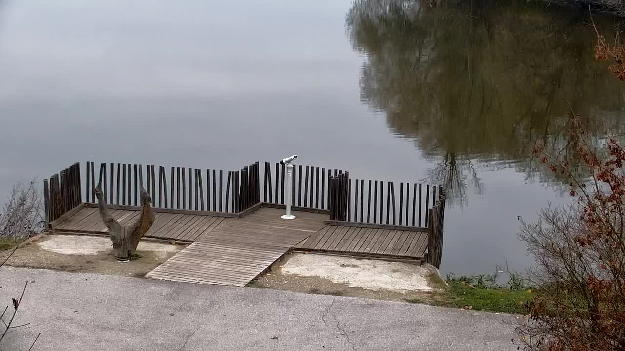 Webcam Ribnik Vrbje – Žalec