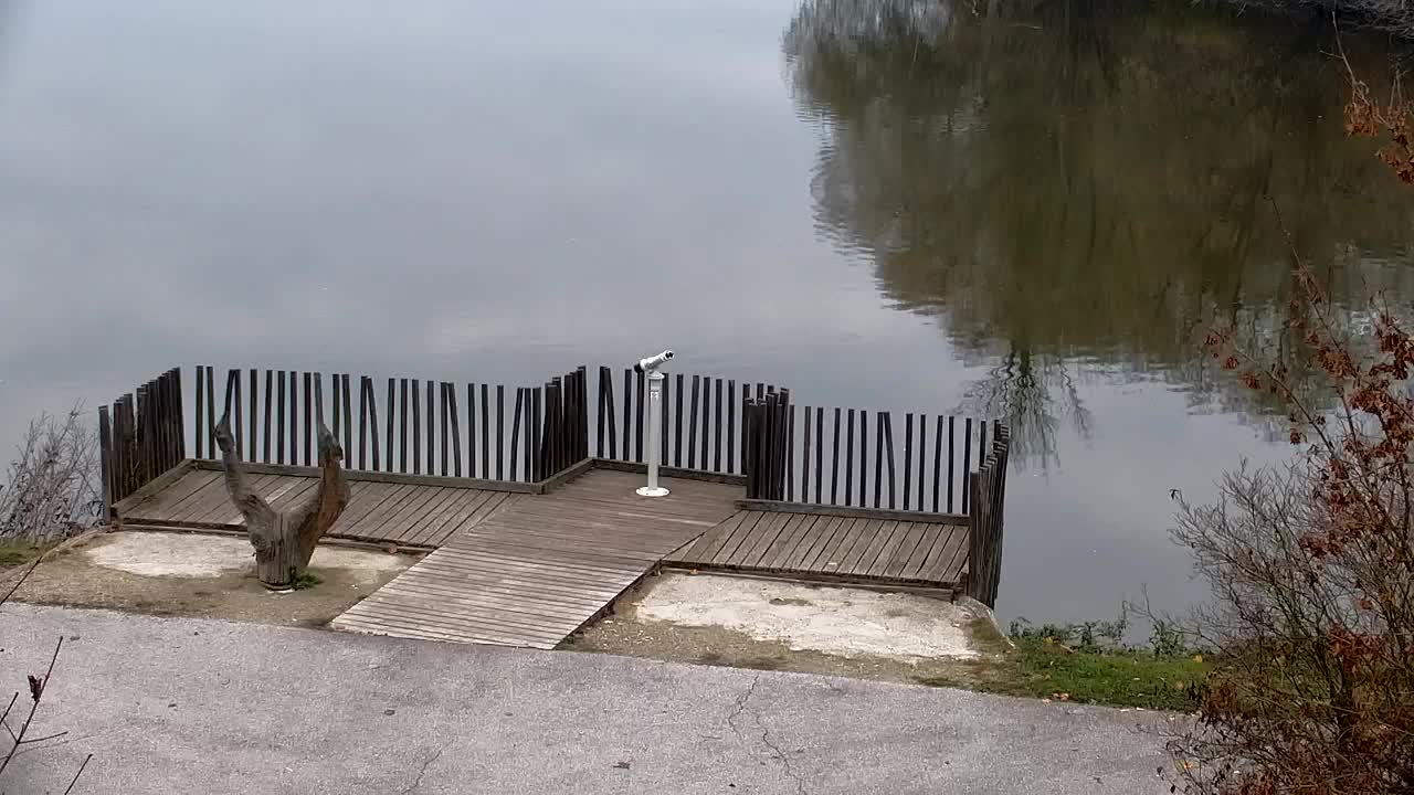 Webcam Ribnik Vrbje – Žalec