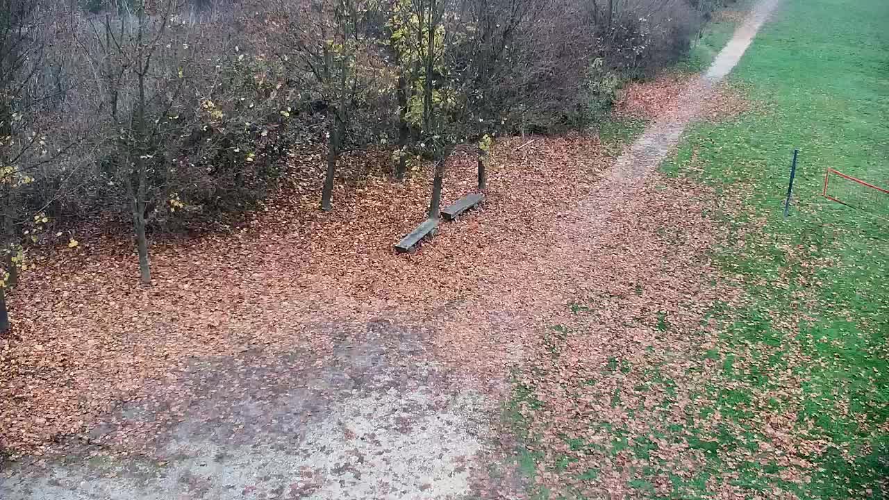 Spletna kamera Ribnik Vrbje – Žalec