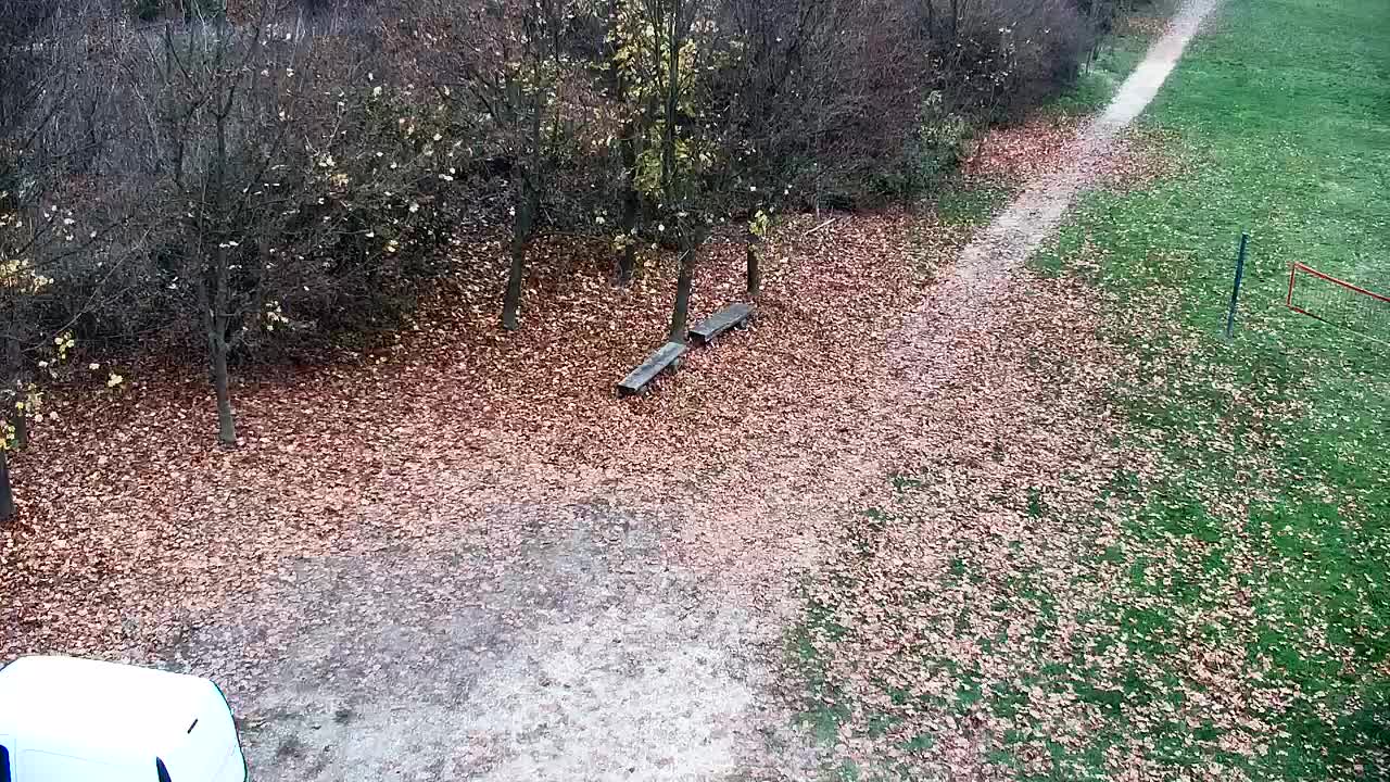 Webcam Ribnik Vrbje – Žalec