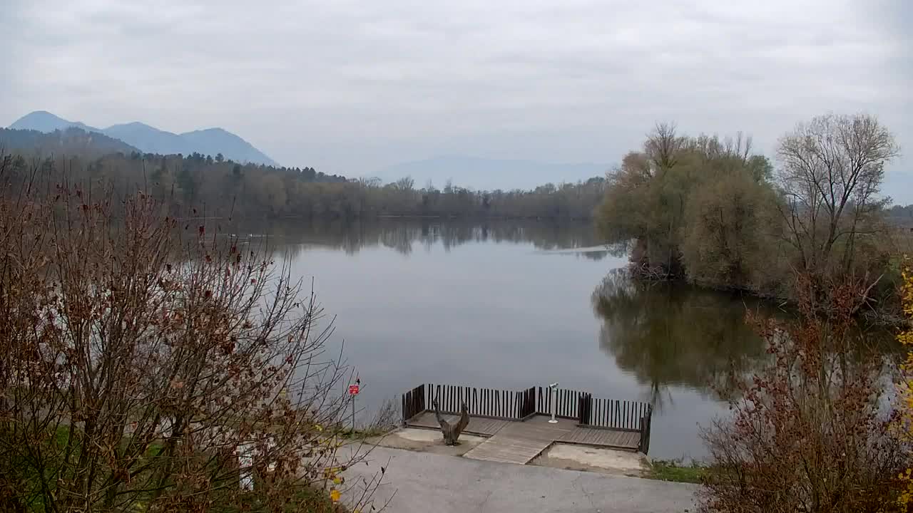 Webcam Ribnik Vrbje – Žalec