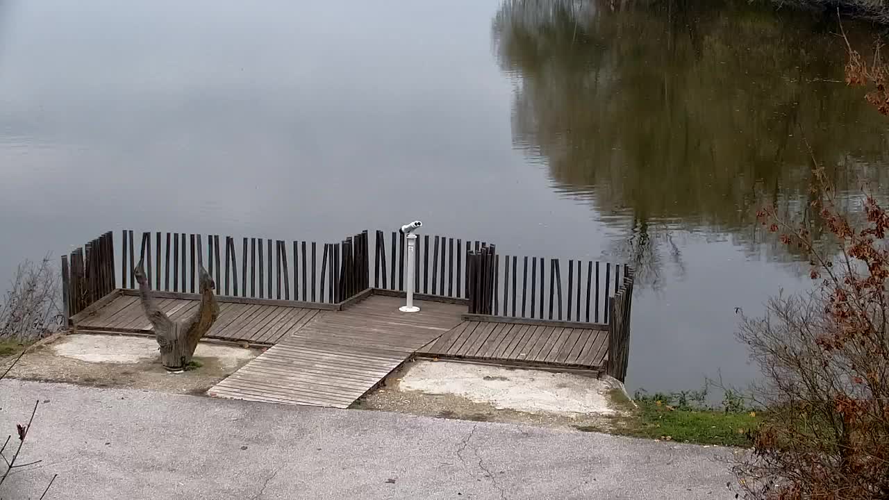 Webcam Ribnik Vrbje – Žalec