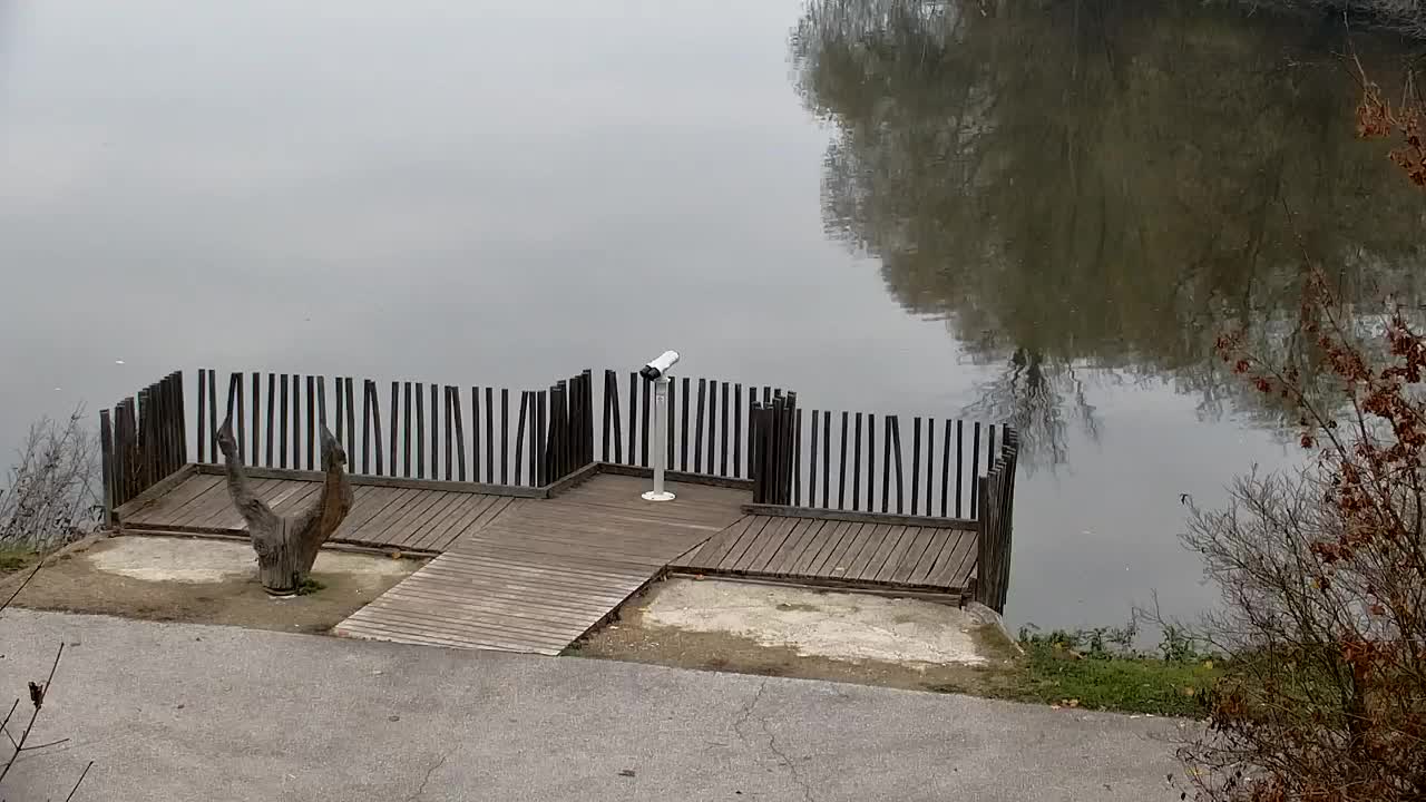 Webcam Ribnik Vrbje – Žalec