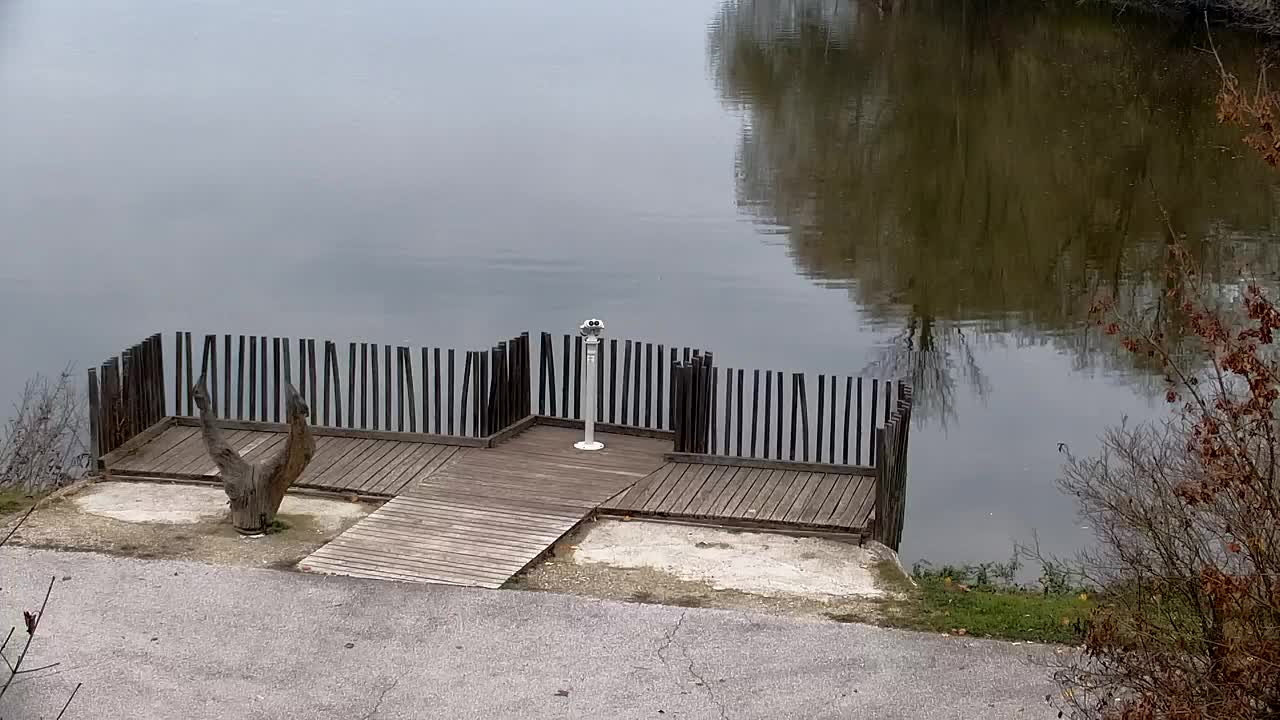 Spletna kamera Ribnik Vrbje – Žalec