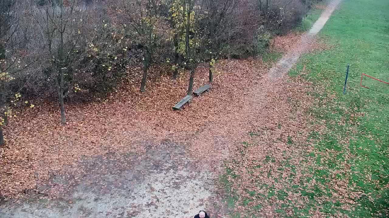 Webcam Ribnik Vrbje – Žalec