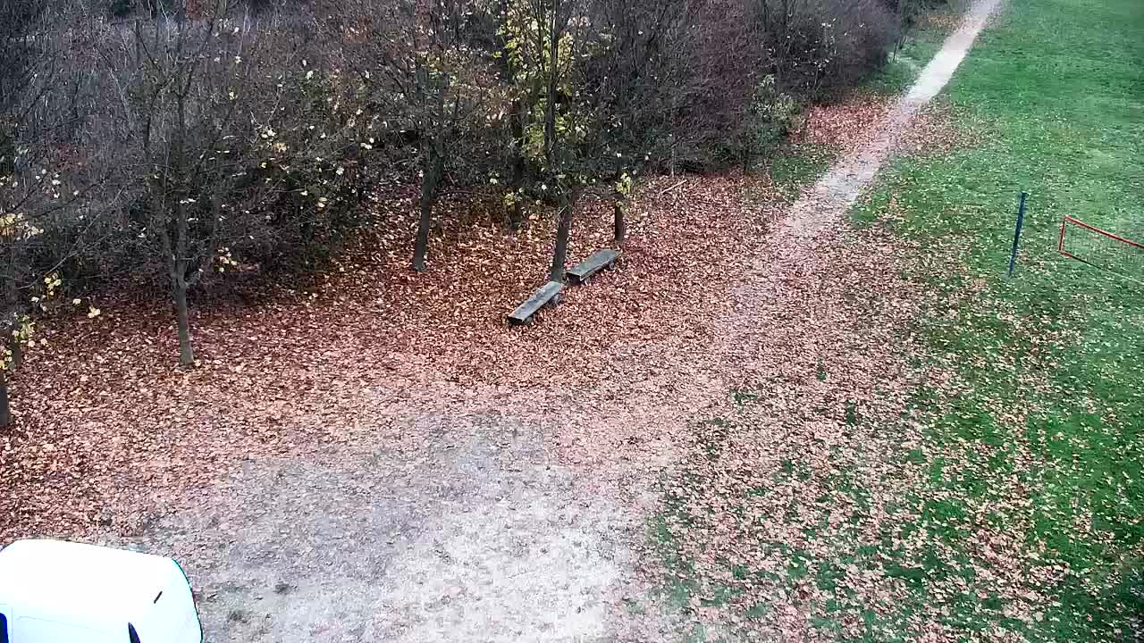 Webcam Ribnik Vrbje – Žalec