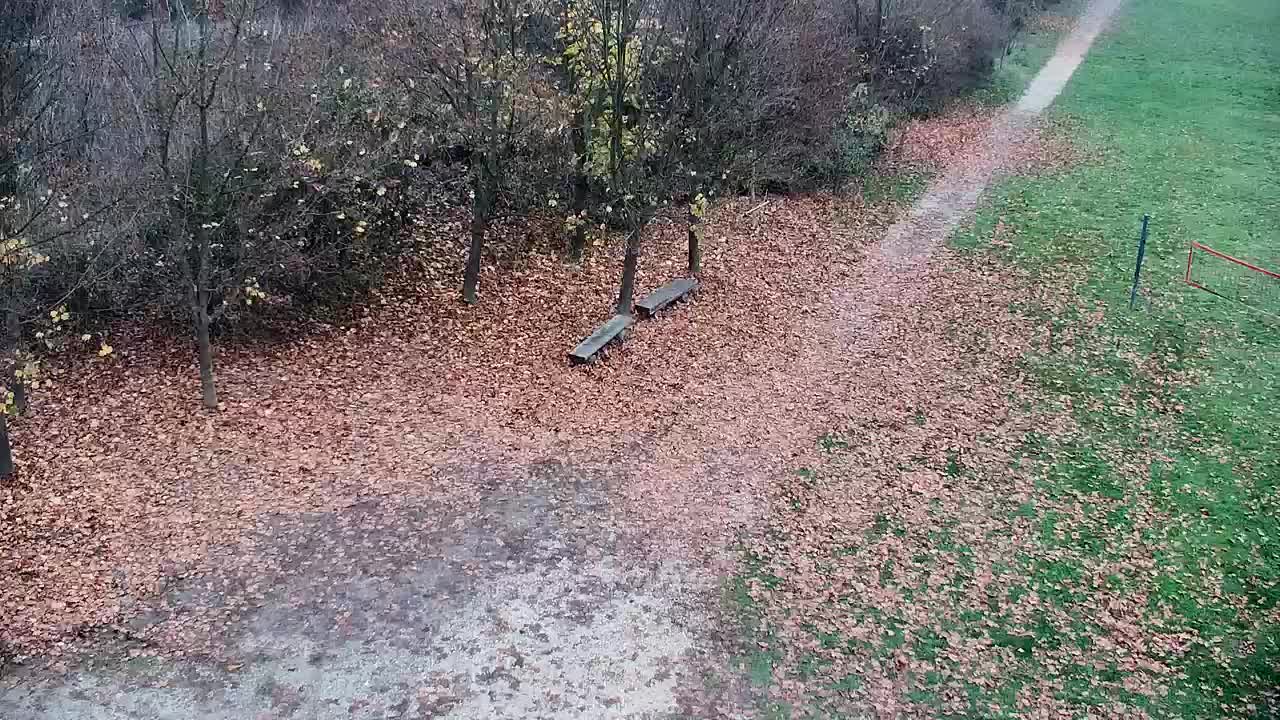 Webcam Ribnik Vrbje – Žalec